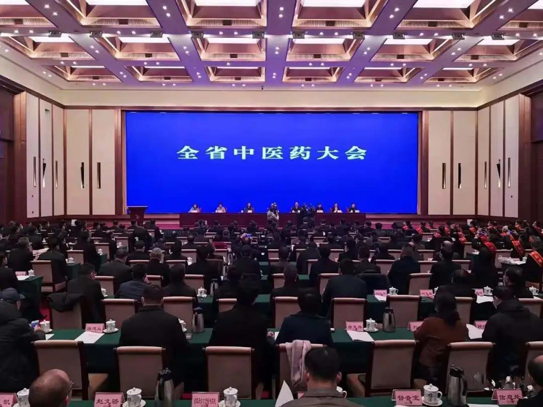 见证盛典，公司应邀参加 湖南省中医药大会